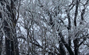 Dự b&aacute;o thời tiết 22/1: Miền Bắc đ&oacute;n đợt kh&ocirc;ng kh&iacute; lạnh rất mạnh, dự b&aacute;o nơi r&eacute;t đậm nhất - Ảnh 2.