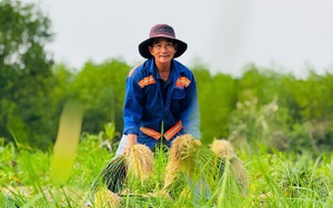 Quảng Ng&atilde;i: Bội thu những chuyến biển cuối năm, thuyền vi&ecirc;n đến c&ocirc;ng nh&acirc;n cảng c&aacute; "ấm bụng" đ&oacute;n Tết- Ảnh 8.