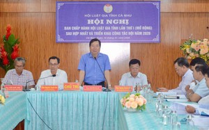 Luật gia Nguyễn Thanh Reo t&aacute;i đắc cử Chủ tịch Hội Luật gia tỉnh C&agrave; Mau - Ảnh 5.