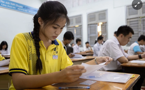 Đại học Việt Nam bứt ph&aacute;, h&agrave;ng loạt ng&agrave;nh vươn v&agrave;o top thế giới - Ảnh 4.