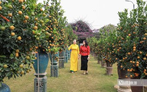 Miền Bắc đón đợt không khí lạnh cực mạnh, dự báo rét buốt đến khi nào? - Ảnh 3.