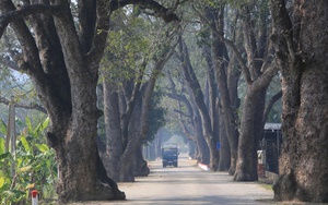 Thu nhập thấp, người trẻ kh&ocirc;ng c&ograve;n mặn m&agrave; với nghề dệt lụa - Ảnh 16.