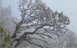 Dự b&aacute;o thời tiết 24/1: Miền Bắc đ&oacute;n đợt kh&ocirc;ng kh&iacute; lạnh cường độ mạnh, dự b&aacute;o nơi r&eacute;t nhất  - Ảnh 2.