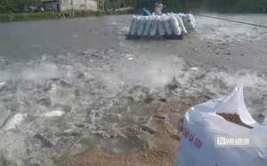 T&acirc;y Ninh kh&ocirc;ng để &ldquo;sốt gi&aacute;&rdquo; dịp Tết- Ảnh 4.