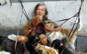 Con gái tỷ phú giàu nhất thế giới: Từ "đóa hồng đen" hàng 1000 tỷ viết đơn từ bỏ cha ra đường mưu sinh - Ảnh 8.