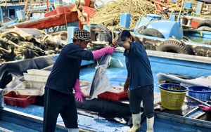 Tr&uacute;ng số độc đắc 7 tỷ đồng, ph&iacute;a sau &aacute;nh h&agrave;o quang ngắn ngủi l&agrave; bi kịch x&oacute;t xa của một số phận - Ảnh 4.