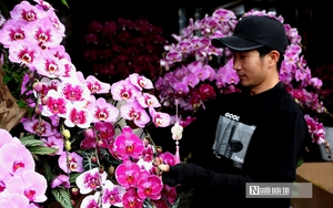 Chi tiết lịch nghỉ Tết Nguy&ecirc;n đ&aacute;n B&iacute;nh Ngọ v&agrave; c&aacute;c kỳ nghỉ d&agrave;i trong năm 2026- Ảnh 4.