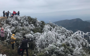 Dự b&aacute;o thời tiết 25/1: Miền Bắc tiếp tục "ch&igrave;m" trong r&eacute;t đậm, mưa ph&ugrave;n khiến gi&aacute; buốt tăng cao - Ảnh 2.