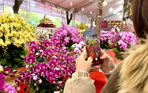 Đ&agrave;o thất thốn bạc tỷ xuống phố, thị trường hoa Tết n&oacute;ng rực - Ảnh 16.