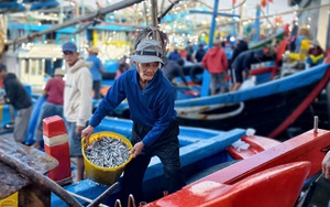 Quảng Ng&atilde;i: T&agrave;u thuyền hối hả chở Tết ra đảo tiền ti&ecirc;u L&yacute; Sơn- Ảnh 11.