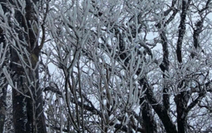 Kh&ocirc;ng kh&iacute; lạnh vẫn bao tr&ugrave;m miền Bắc, sương m&ugrave; d&agrave;y đặc, nơi r&eacute;t nhất dưới 9 độ C - Ảnh 2.