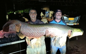 Cần thủ c&acirc;u được c&aacute; "khủng" nặng 63kg, người d&acirc;n vật lộn hơn 1 giờ mới đưa được l&ecirc;n bờ- Ảnh 2.