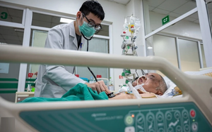 V&igrave; sao Tp.HCM cần tuyển bổ sung hơn 1.400 gi&aacute;o vi&ecirc;n trước thềm năm học mới? - Ảnh 3.