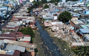 Hơn 4.100 tấn gạo từ kho dự trữ quốc gia kịp đến tay người dân trước Tết Bính Ngọ - Ảnh 3.