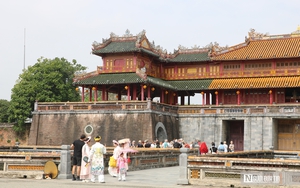 Ngắm phong lan khoe sắc trong khu vườn d&agrave;nh ri&ecirc;ng cho vua Triều Nguyễn- Ảnh 18.