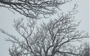 Miền Bắc dồn dập đ&oacute;n nhiều đợt kh&ocirc;ng kh&iacute; lạnh cực mạnh, trời r&eacute;t đậm - Ảnh 2.