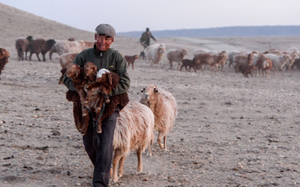  Khi c&ocirc;ng ty bất ngờ thưởng Tết cho nh&acirc;n vi&ecirc;n bằng&hellip; vận may - Ảnh 2.