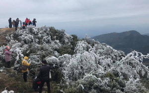 Sau 3 năm ly hôn, chồng bất ngờ “cua lại” vợ cũ bằng lễ hỏi cưới như lần đầu - Ảnh 7.