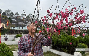 M&acirc;m c&uacute;ng &ocirc;ng C&ocirc;ng &ocirc;ng T&aacute;o quen thuộc, th&ecirc;m chi tiết n&agrave;y bỗng đẹp rực rỡ, gia chủ đ&oacute;n lộc cả năm- Ảnh 4.