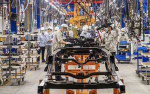 Lần đầu ti&ecirc;n du lịch Việt Nam đạt được cột mốc ấn tượng với lượng kh&aacute;ch quốc tế cao kỷ lục- Ảnh 3.