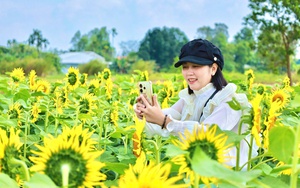 Kh&ocirc;ng kh&iacute; lạnh tăng cường, r&eacute;t đậm lan rộng, nhiều nơi xuống dưới -3 độ C- Ảnh 3.