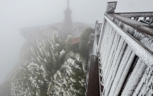 Tạm giữ hình sự kẻ sát hại đồng nghiệp rồi phóng hỏa đốt xưởng giấy - Ảnh 2.