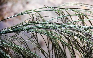 Kh&ocirc;ng kh&iacute; lạnh tăng cường, r&eacute;t đậm lan rộng, nhiều nơi xuống dưới -3 độ C- Ảnh 2.