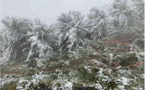 Vụ đối tượng cầm dao lao v&agrave;o qu&aacute;n cắt t&oacute;c tấn c&ocirc;ng 2 mẹ con: Tạm giữ h&igrave;nh sự người chồng - Ảnh 4.