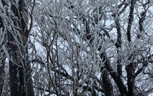 Vụ ch&aacute;y nh&agrave; 3 tầng ở H&agrave; Nội: Chạy đua cứu chữa 15 nạn nh&acirc;n, 7 người nguy kịch - Ảnh 6.