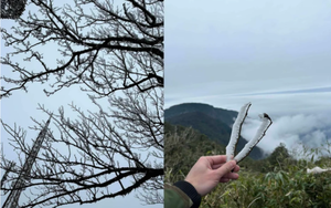 TP.HCM huy động tr&ecirc;n 70% học sinh v&agrave;o lớp 10 THPT c&ocirc;ng lập: C&aacute;nh cửa rộng mở hay cuộc cạnh tranh mới? - Ảnh 3.