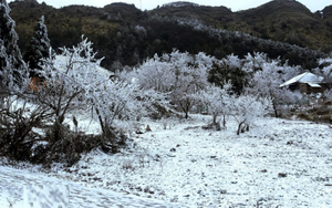 Từng g&acirc;y sốc với cảnh n&oacute;ng, mỹ nh&acirc;n "Đảo Thi&ecirc;n Đường" bất ngờ c&ocirc;ng khai c&oacute; con với Ph&oacute; chủ tịch - Ảnh 9.