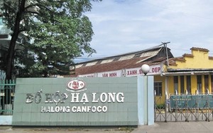 Vụ phát hiện 120 tấn thịt lợn nhiễm bệnh: Quyền lợi người tiêu dùng và trách nhiệm của doanh nghiệp - Ảnh 4.