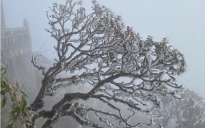 Dự b&aacute;o thời tiết 10/1: Miền Bắc đ&oacute;n đợt kh&ocirc;ng kh&iacute; lạnh rất mạnh, dự b&aacute;o nơi r&eacute;t đậm nhất - Ảnh 3.