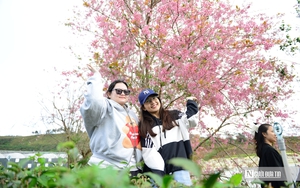 Hội Lim 2026: Siết chặt quản l&yacute;, vinh danh Di sản quốc gia giữa miền Quan họ - Ảnh 4.