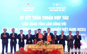 Hạ tầng giao th&ocirc;ng giữ vai tr&ograve; đ&ograve;n bẩy trong chiến lược ph&aacute;t triển L&acirc;m Đồng mới- Ảnh 8.