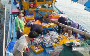 L&acirc;m Đồng th&uacute;c tiến độ c&aacute;c dự &aacute;n hạ tầng, tr&aacute;nh ảnh hưởng du lịch Mũi N&eacute;- Ảnh 10.