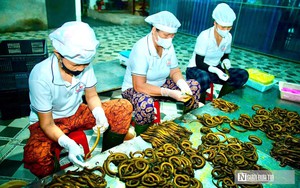 10 ng&agrave;nh, nghề kinh doanh phải c&oacute; phương &aacute;n bảo đảm an ninh, trật tự- Ảnh 4.