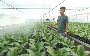 Người d&acirc;n v&ugrave;ng lũ Y&ecirc;n Nh&acirc;n chờ được an cư- Ảnh 6.