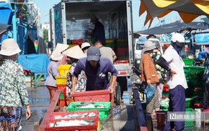 10 ng&agrave;nh, nghề kinh doanh phải c&oacute; phương &aacute;n bảo đảm an ninh, trật tự- Ảnh 3.