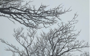 Kh&ocirc;ng kh&iacute; lạnh tăng cường dồn dập, miền Bắc r&eacute;t s&acirc;u v&agrave; sương m&ugrave; d&agrave;y đặc - Ảnh 2.