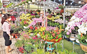 Mẹo luộc bánh chưng xanh tự nhiên, bên trong chín mềm, thơm ngon chuẩn vị ngày Tết- Ảnh 5.