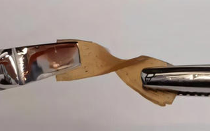 M&ocirc; h&igrave;nh AI dự b&aacute;o 1,1 tỷ người đối mặt nạn đ&oacute;i do biến đổi kh&iacute; hậu v&agrave;o năm 2100 - Ảnh 3.