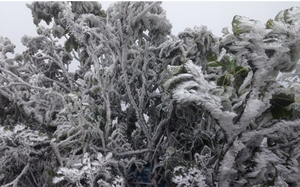 Dự b&aacute;o thời tiết 13/2: Miền Bắc sắp đ&oacute;n đợt kh&ocirc;ng kh&iacute; lạnh mạnh tr&agrave;n về, trời chuyển r&eacute;t- Ảnh 3.