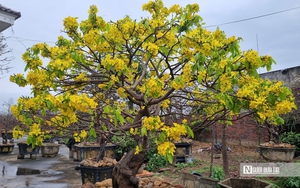 Hoa hậu &Yacute; Nhi g&acirc;y bất ngờ với h&igrave;nh ảnh &ldquo;g&aacute;i đảm&rdquo; tất bật dọn nh&agrave;, nấu nướng ng&agrave;y cận Tết- Ảnh 7.