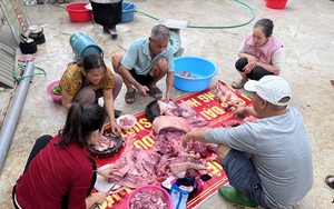 Những lời ch&uacute;c Tết B&iacute;nh Ngọ 2026 hay v&agrave; ấn tượng nhất- Ảnh 2.