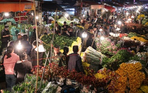 Những lời ch&uacute;c Tết B&iacute;nh Ngọ 2026 hay v&agrave; ấn tượng nhất- Ảnh 3.