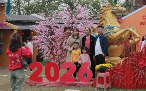 Người người đi cầu an, phủ Tây Hồ đông nghịt ngày đầu năm mới- Ảnh 18.