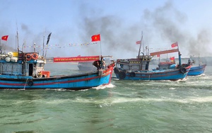 Rộn r&agrave;ng m&ugrave;a c&aacute; nục ở Quảng Ng&atilde;i - Ảnh 15.