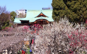 Khen thưởng kịp thời 2 cha con dũng cảm cứu người vụ lật thuyền tr&ecirc;n s&ocirc;ng Gianh - Ảnh 3.