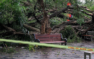 52.000 fan “gào thét” cùng Ozzy Osbourne: Khoảnh khắc chấn động được Guinness ghi danh - Ảnh 5.